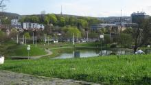 Frühlingserwachen im Schlossgarten Stuttgart